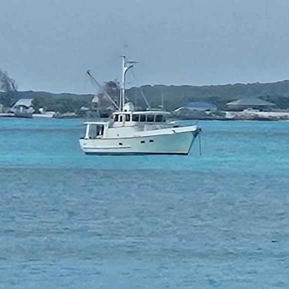 Meet your Posher. - Picture 1 of 1